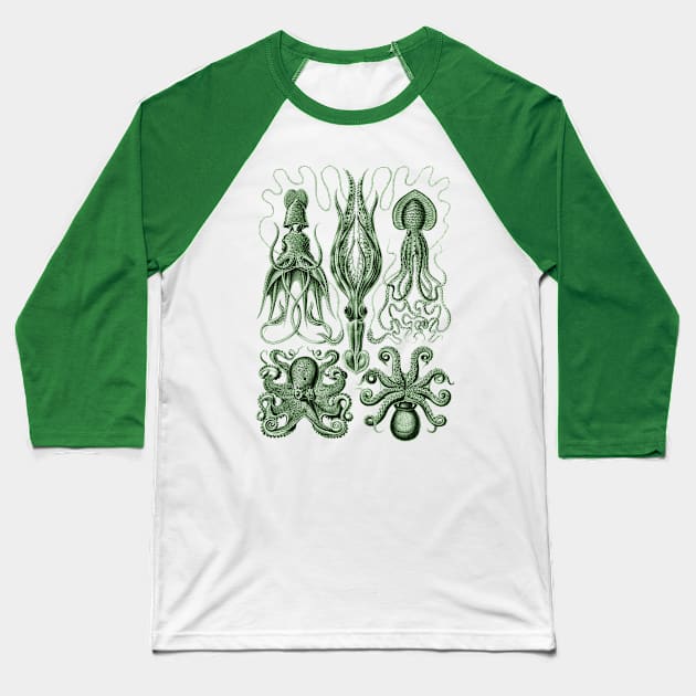 Ernst Haeckel Gamochonia Octopus Green Baseball T-Shirt by Scientistudio